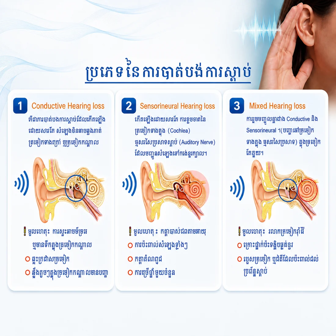 Types of Hearing Loss educational infographic